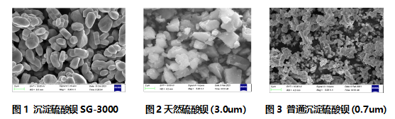 3681693535479145.png 图片3.png